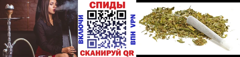 Бутират буратино  Городище 