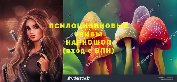 мдпв Балахна
