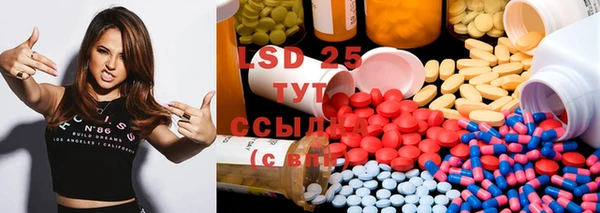 ГАЛЛЮЦИНОГЕННЫЕ ГРИБЫ Баксан