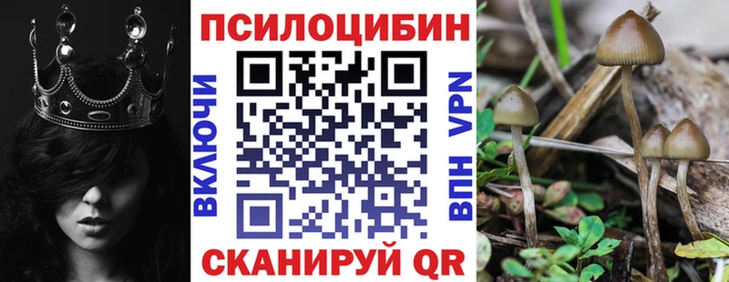 Псилоцибиновые грибы ЛСД  Городище 